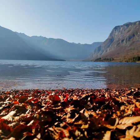 Apartment Korosec Matej Bohinj Zewnętrze zdjęcie