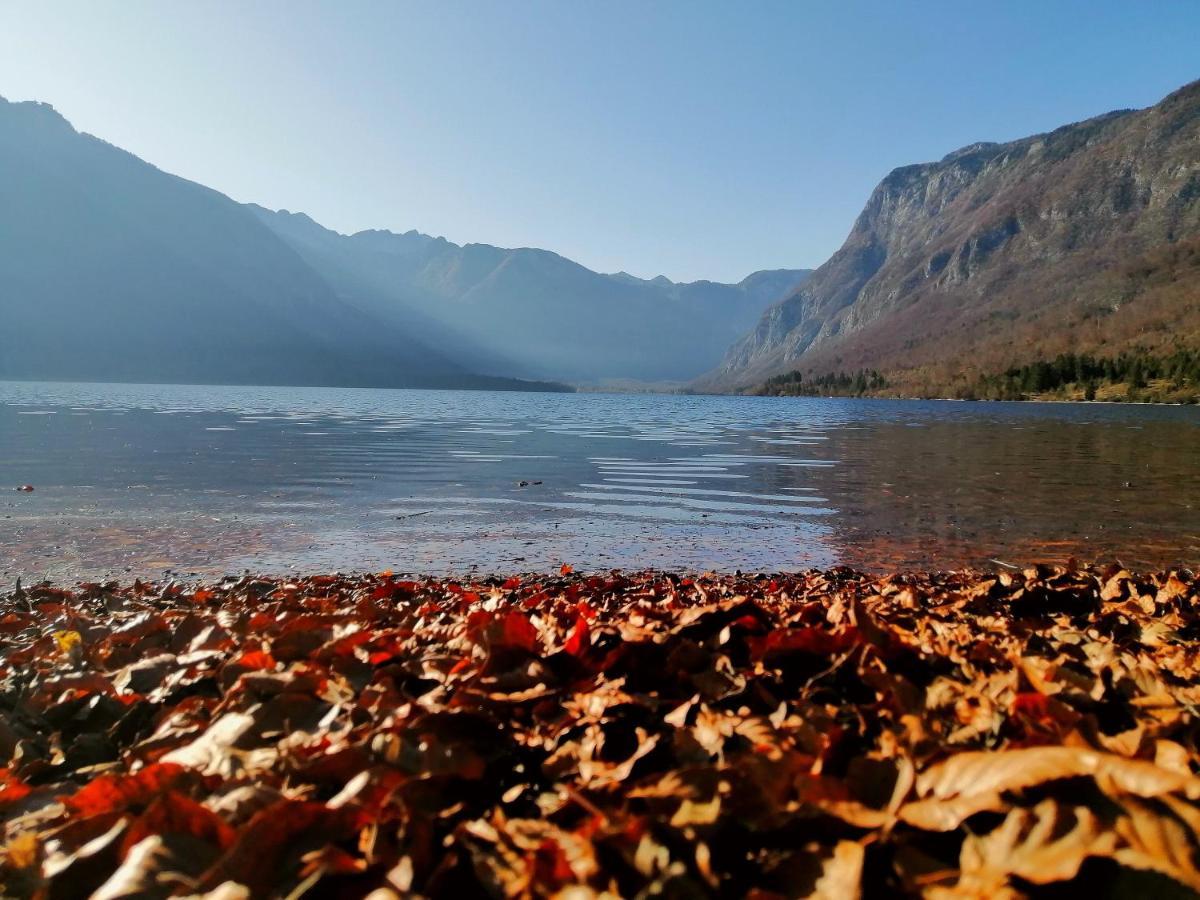 Apartment Korosec Matej Bohinj Zewnętrze zdjęcie